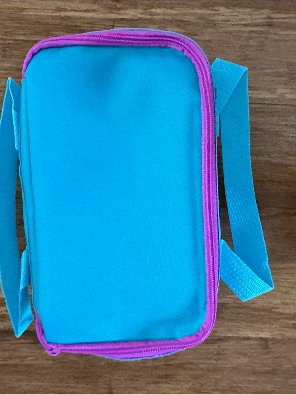 Trader Joe's Teal Mini Insulated Bag - Tropical Design - Picture 4 of 5